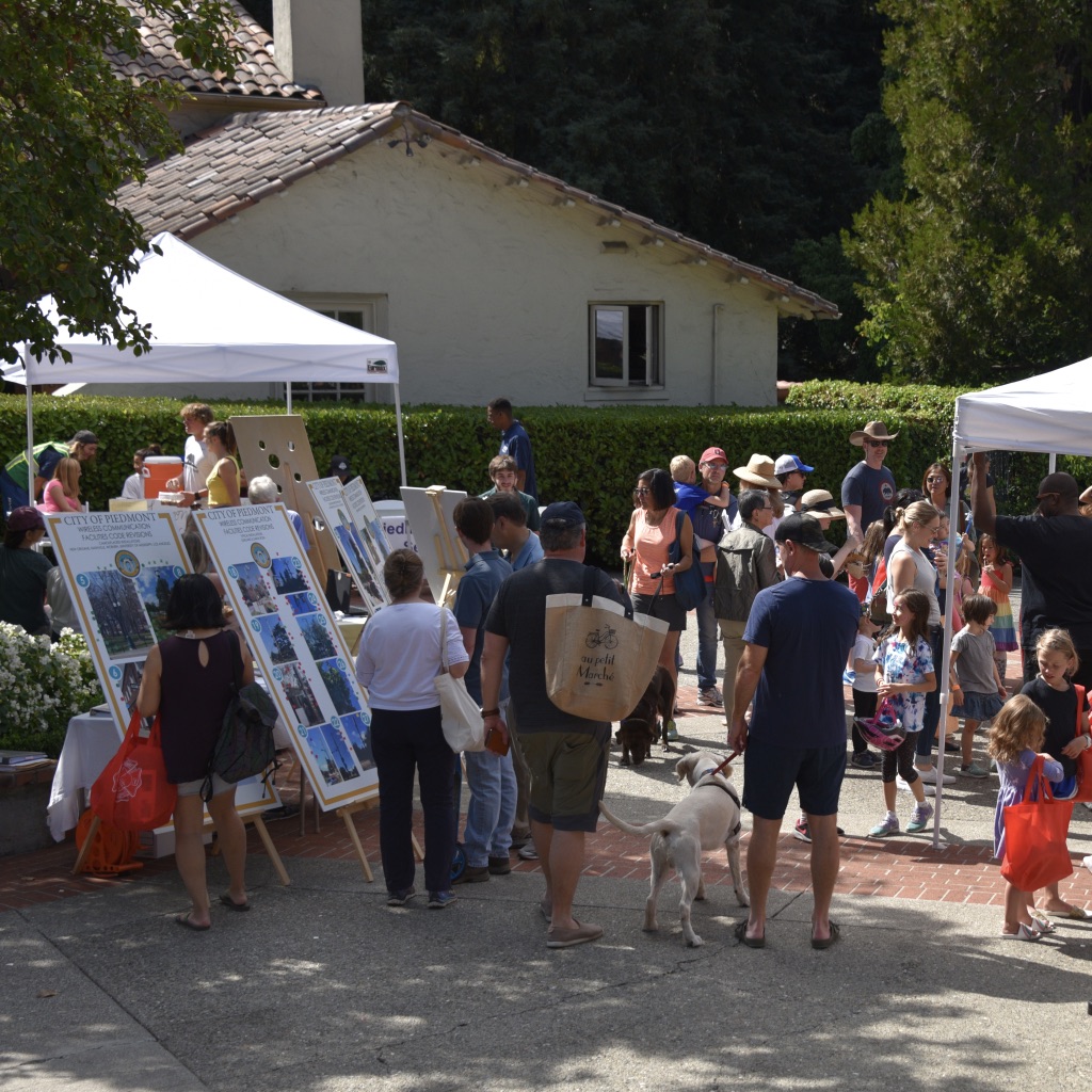 A bushel and a peck of fun Photos from the Harvest Festival