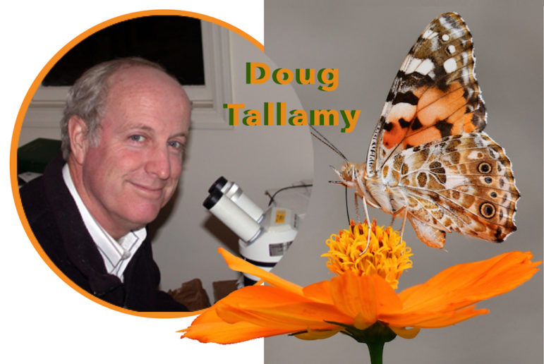 How home gardeners can help heal ecosystems Ecologist Doug Tallamy