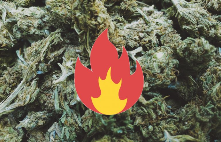 Electrical fire burns marijuana grow warehouse with 2,000 plants ...