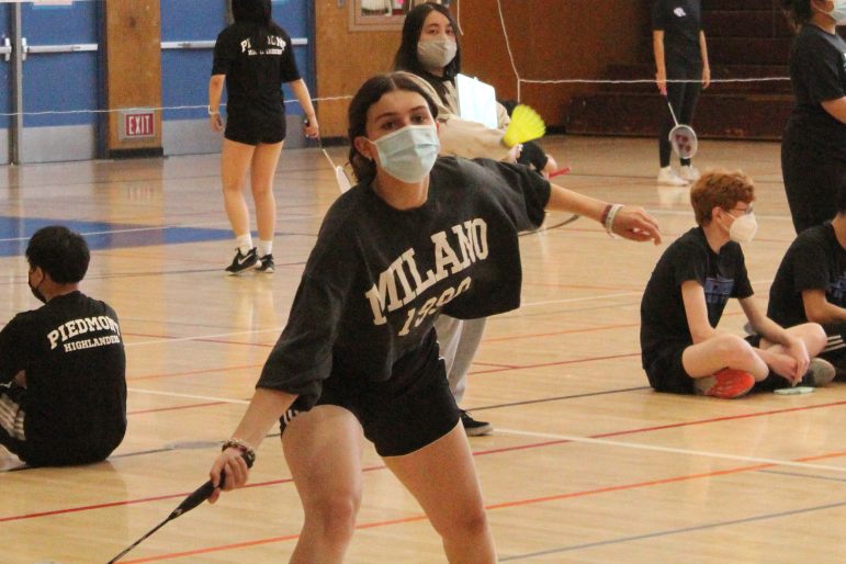 Badminton - Asco & Celda